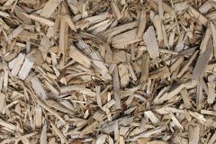 biomass boilers Invergeldie